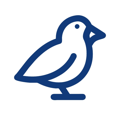 Bird icon