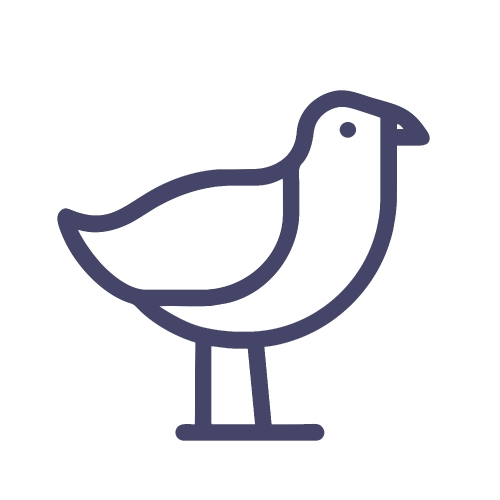 Bird icon