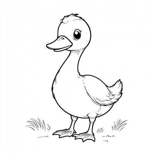 Birds Coloring Book Animal Coloring Pages For Kids a (25)
