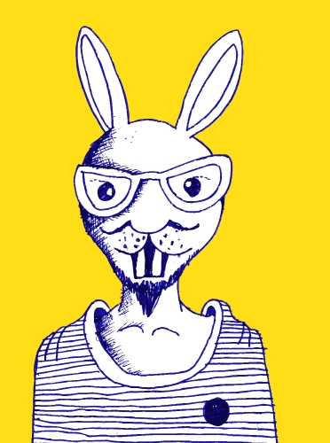 bunny rabbit design