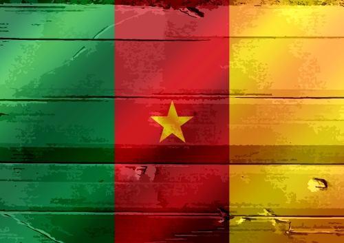 Cameroon flag themes idea design