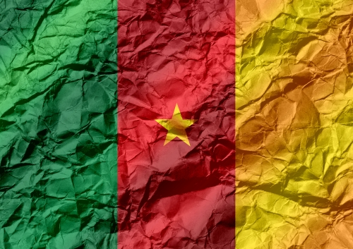 Cameroon flag themes idea design