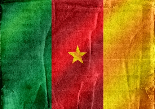 Cameroon flag themes idea design