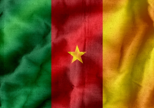 Cameroon flag themes idea design