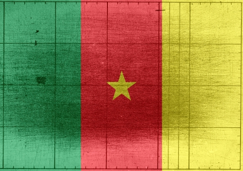 Cameroon flag themes idea design