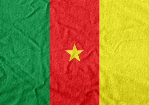 Cameroon flag themes idea design