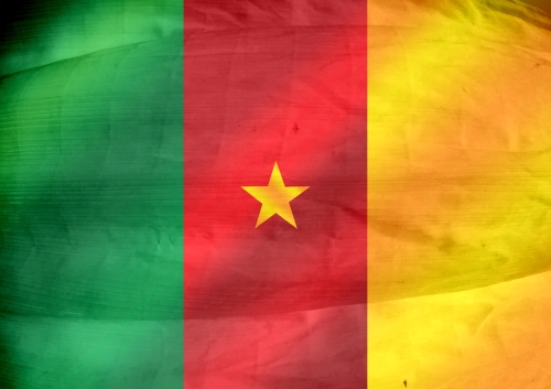 Cameroon flag themes idea design