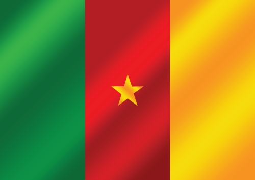 Cameroon flag themes idea design