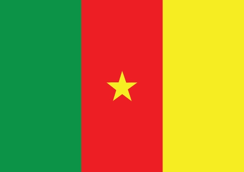 Cameroon flag themes idea design