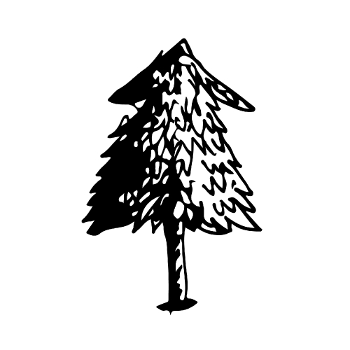 Christmas Tree Icon