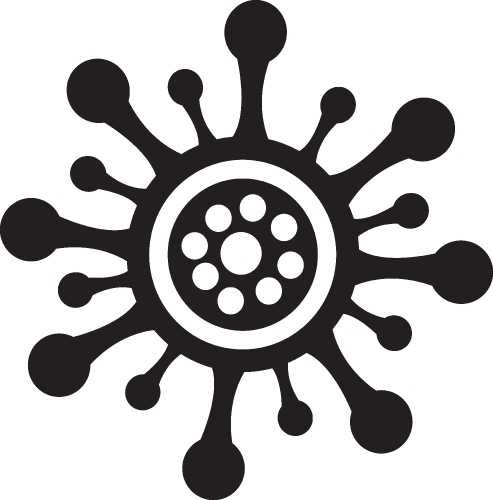 COVID19  Coronavirus icon