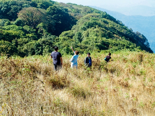 doi inthanon national park chiangmai , Thailand