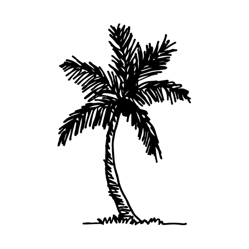 doodle coconut tree icon hand draw illustration design 