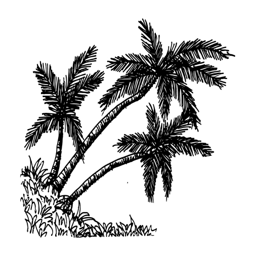 doodle coconut tree icon hand draw illustration design 