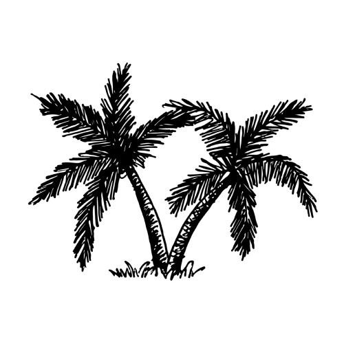 doodle coconut tree icon hand draw illustration design 