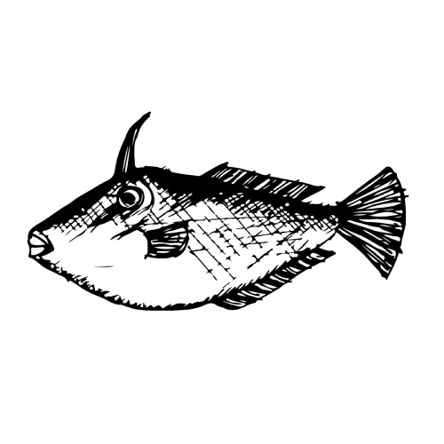 Doodle fish icon hand draw illustration design
