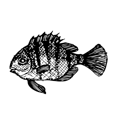 Doodle fish icon hand draw illustration design