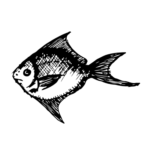 Doodle fish icon hand draw illustration design