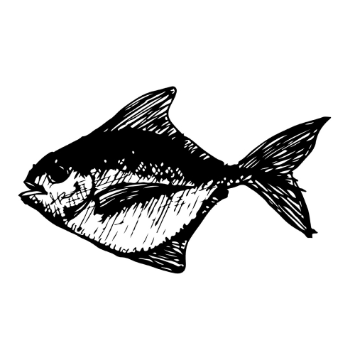 Doodle fish icon hand draw illustration design