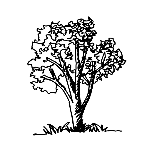 Doodle tree icon hand draw illustration design