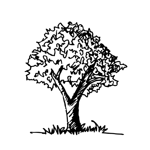 Doodle tree icon hand draw illustration design