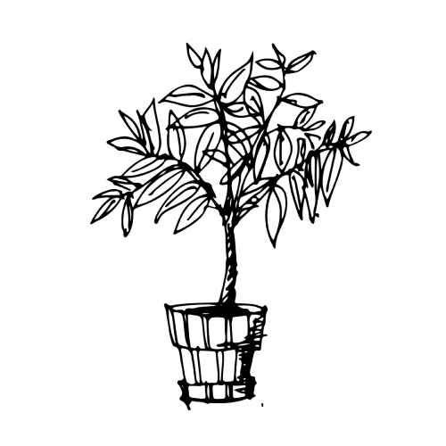 doodle tree pot icon hand draw illustration design