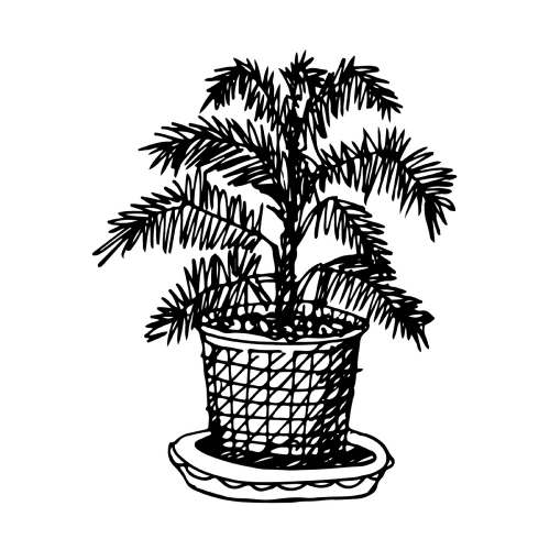 doodle tree pot icon hand draw illustration design