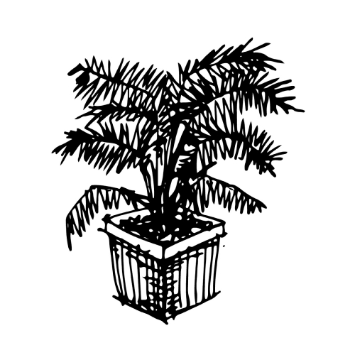 doodle tree pot icon hand draw illustration design