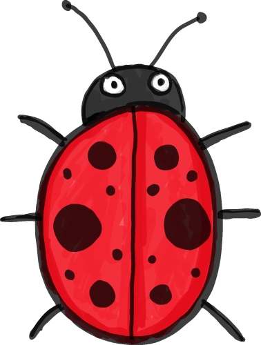 Draw Ladybug icon sign design