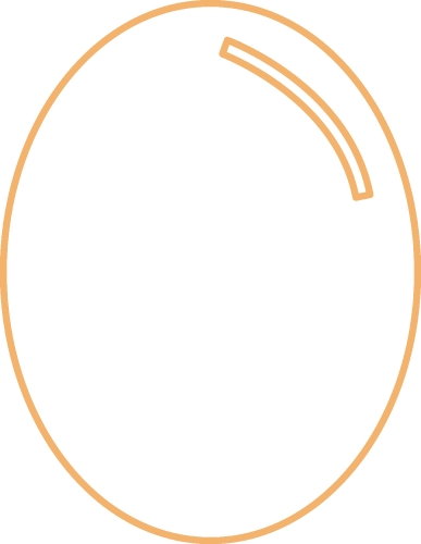 Egg icon sign symbol design