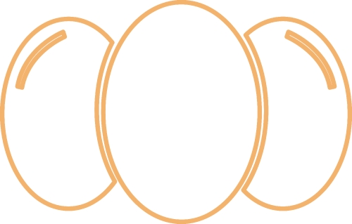 Egg icon sign symbol design