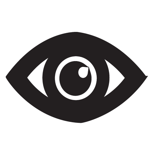 Eye Icon