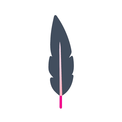 Feather icon