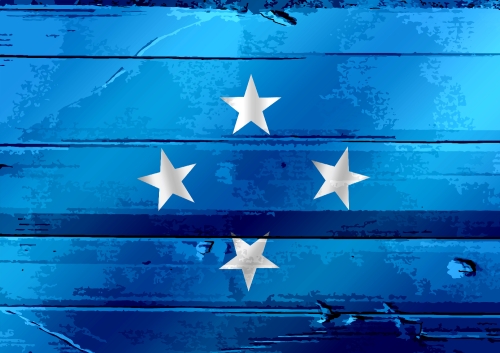 Federated States of Micronesia flag themes idea design