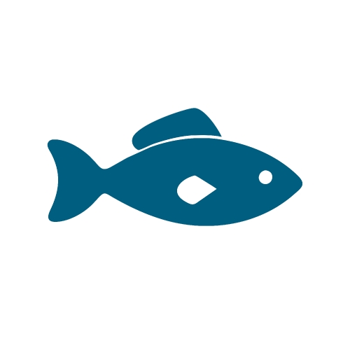 Fish icon