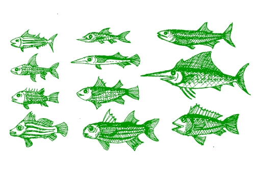 fish in  Illustration