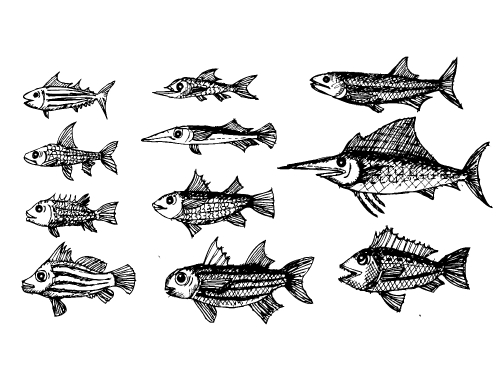 fish in  Illustration