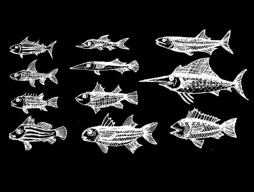 fish in  Illustration