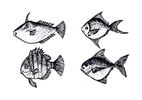 fish in  Illustration