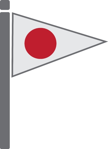 Flag icon