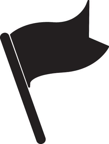 Flag icon