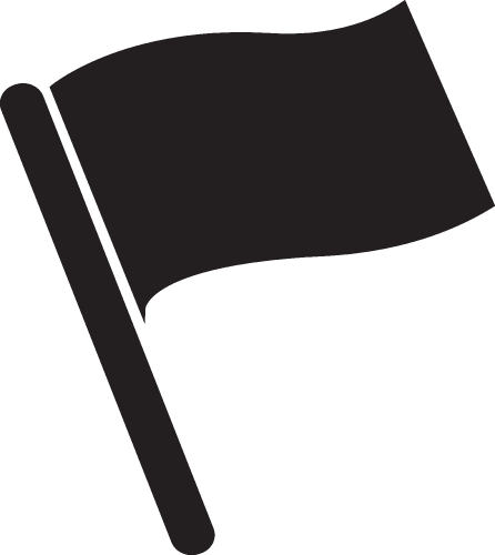 Flag icon