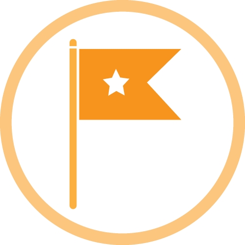 Flag icon sign symbol design