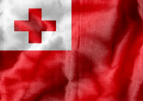 Flag of Tonga themes idea design