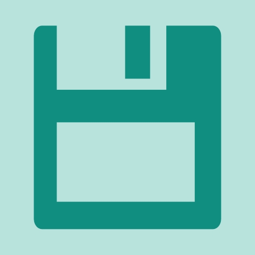 Floppy Disk Icon