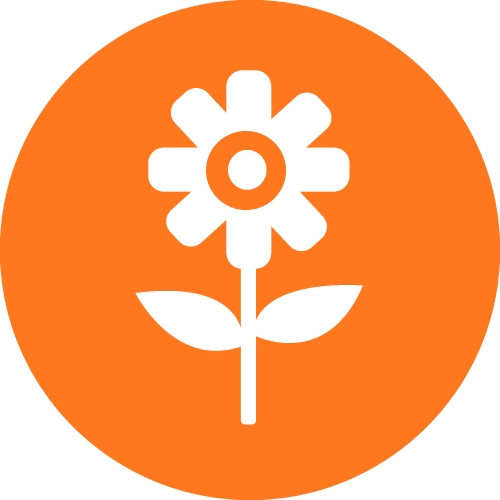 Flower icon flora sign symbol design