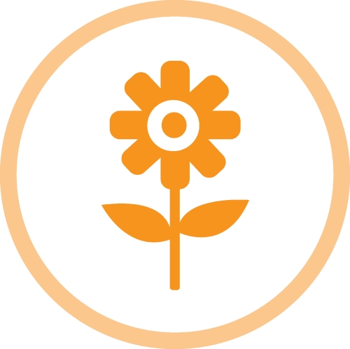 Flower icon flora sign symbol design