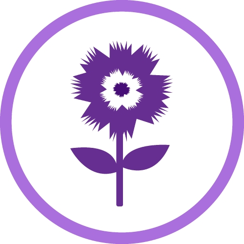 Flower icon flora sign symbol design