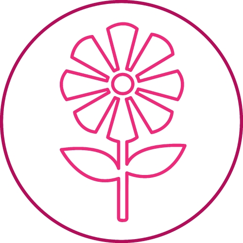 Flower icon sign symbol design