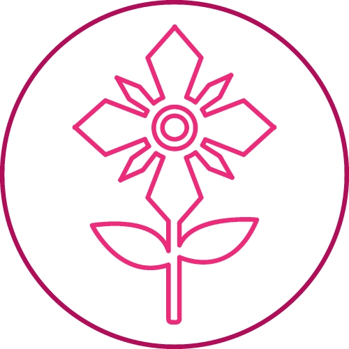 Flower icon sign symbol design